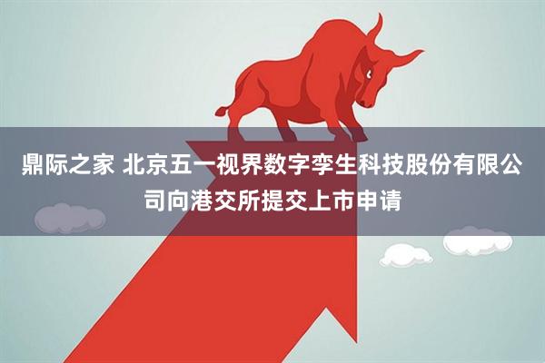 鼎际之家 北京五一视界数字孪生科技股份有限公司向港交所提交上市申请