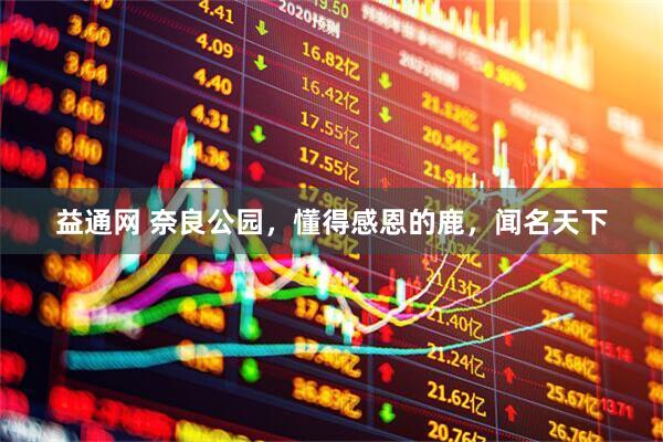 益通网 奈良公园，懂得感恩的鹿，闻名天下