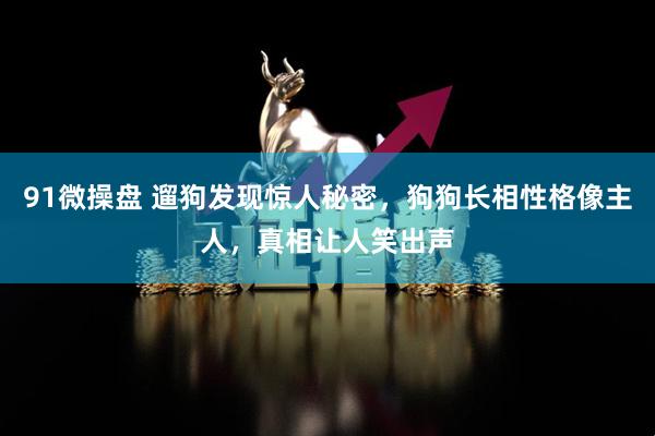 91微操盘 遛狗发现惊人秘密，狗狗长相性格像主人，真相让人笑出声
