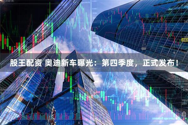 股王配资 奥迪新车曝光：第四季度，正式发布！